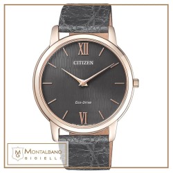 Orologio Citizen Eco Drive AR1133-31H